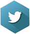 social media icons